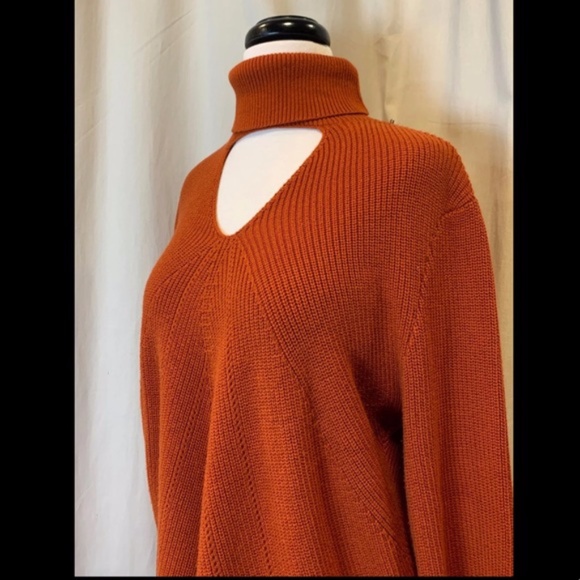 Chico's 3 sz 1X sz 14-16 Beautiful Rust colored Spicy Orange Sweater - Picture 6 of 7